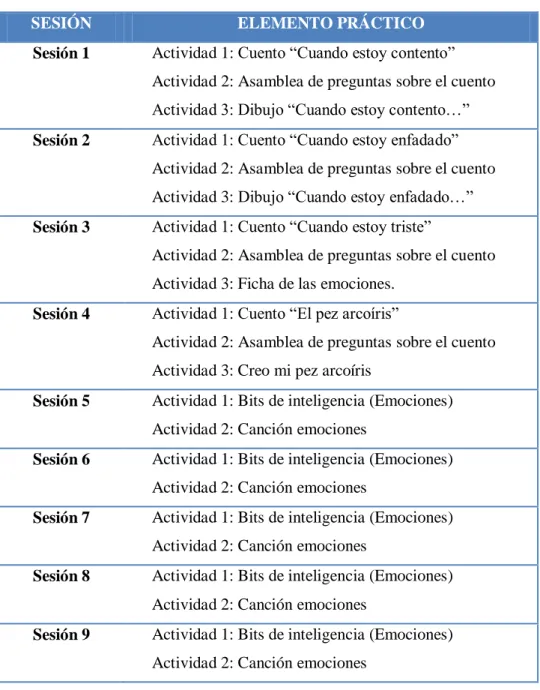 Tabla 1: Programación de las sesiones 