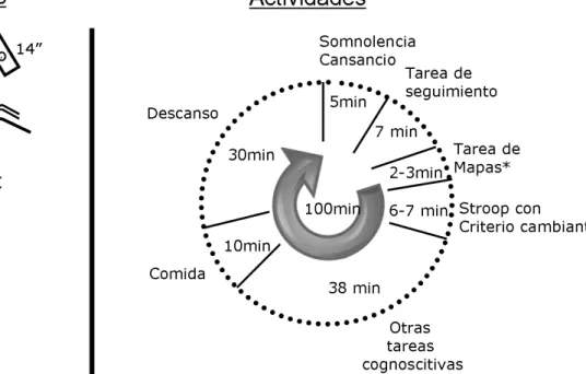 Figura  6.  Protocolo  de  rutina  constante.  En  la  parte 