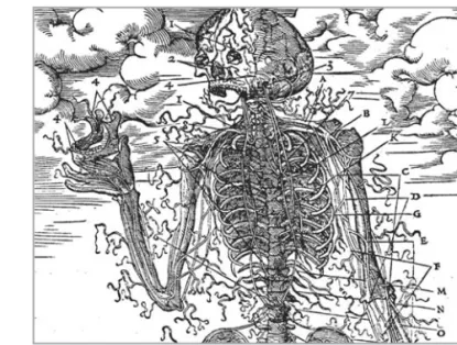 Figura 2.  Estienne. Dissectione partium (1525)Figura 1.