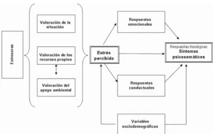 Fig. 1. Modelo explicativo del estrés y los síntomas psicosomáticos.
