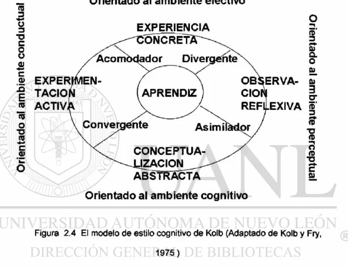 Figura 2.4 El modelo de estilo cognitivo de Kolb (Adaptado de Kolb y Fry,  1975) 