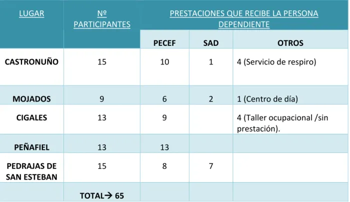 Tabla 5: Datos de los cursos dirigidos a cuidadores no profesionales de personas dependientes en  2015