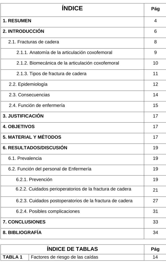 TABLA 1  Factores de riesgo de las caídas   14 