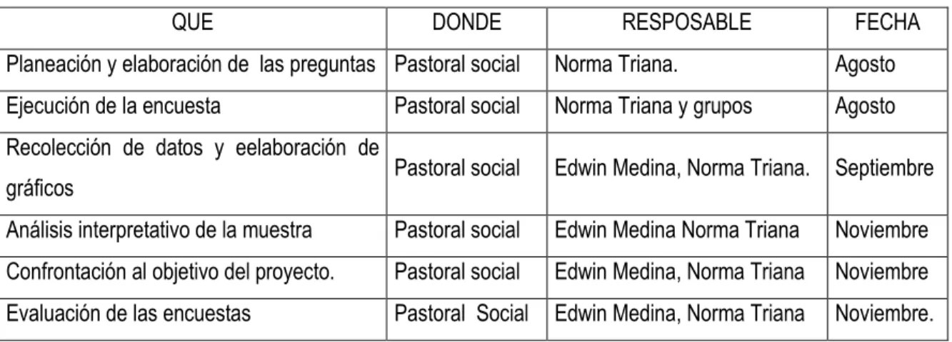 Tabla 1.    Planeación  para elaboración y ejecución de la encuesta. 