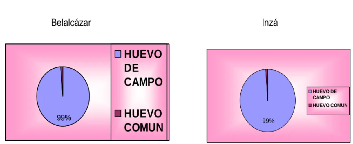 Gráfico 2. Preferencia. 