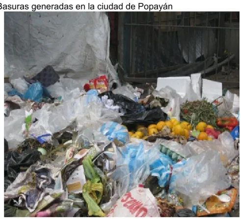 Figura 1: Basuras generadas en la ciudad de Popayán 