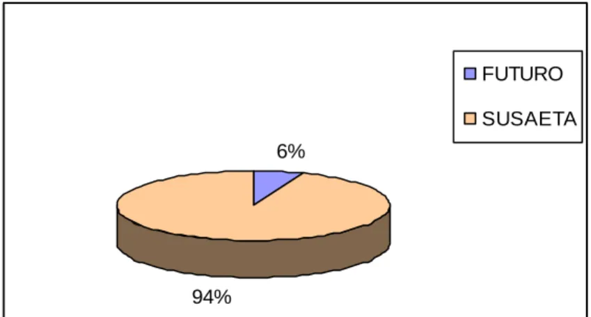 Figura 8.  Gráfico pregunta 8. 