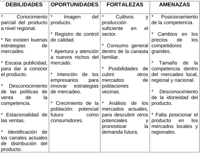 Tabla  11. MATRIZ DOFA 