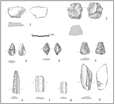 Fig. 5. Selección de piezas líticas talladas de la ocupación calcolítica de La Atalaya: 1-2, diversos:  posible elemento de hoz y trozo retocado; 3-5, puntas de flecha; 6, lámina con denticulación; 7-9,  láminas simples (dibujos de Francisco Tapias López)