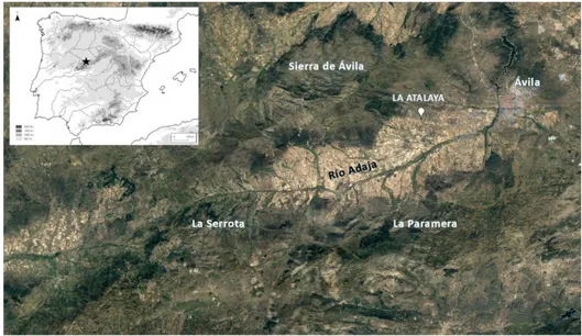 Fig. 1. Localización del yacimiento de La Atalaya (Muñopepe, Ávila). 