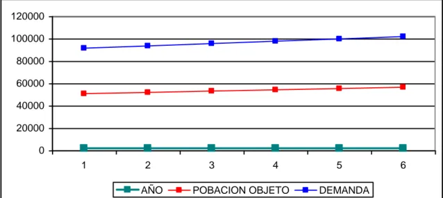 Grafico  13  Ilustración  de  la  Demanda  Total  con  Respecto  a  la  Población Objeto  020000400006000080000100000120000 1 2 3 4 5 6