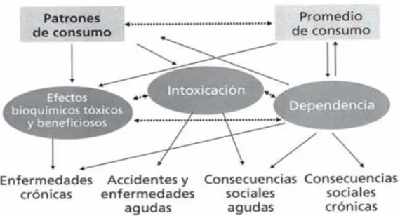 Figura 1. Mecanismos que modulan la relación entre el consumo de alcohol y sus efectos: 