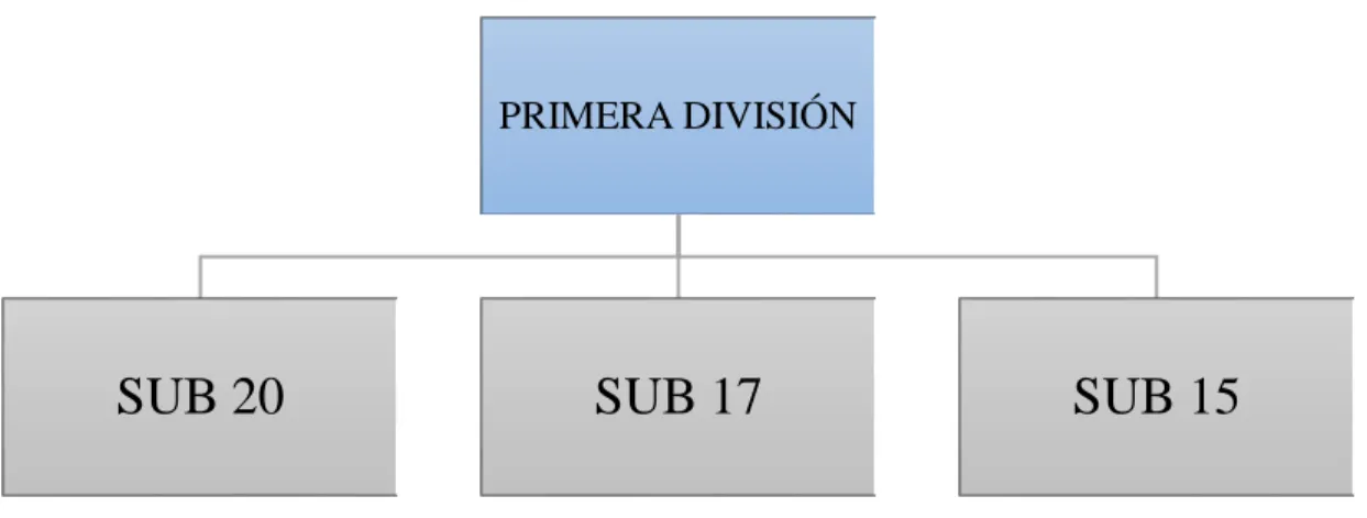 Figura 2. Jerarquía de categorías participantes en la Liga Mx. 