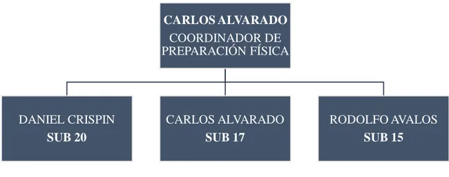 Figura 4. Organigrama del área de preparación física de Club Tigres. 