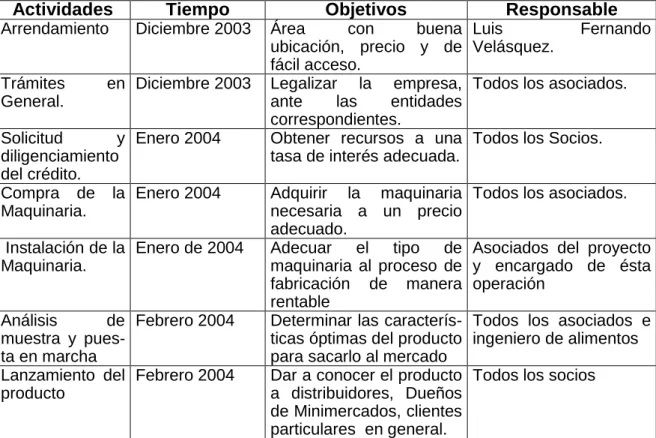 Cuadro 12. cronograma de Actividades 