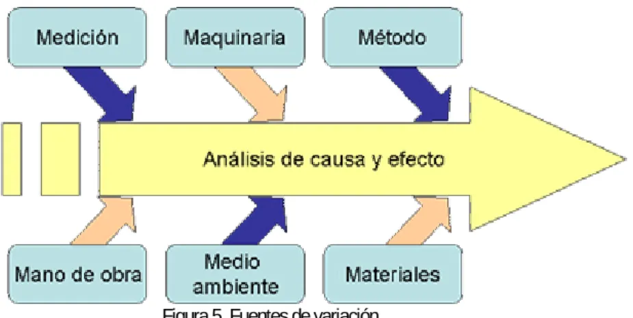 Figura 5. Fuentes de variación.