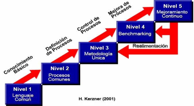 Figura 2. Proceso de Madurez  en la administración de proyectos. 