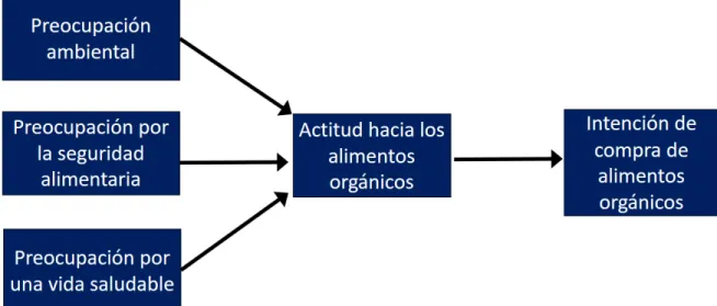 Figura 2. Modelo gráfico de la hipótesis 