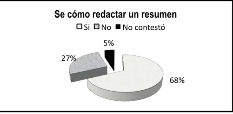 Figura 2. Redacción de resumen 