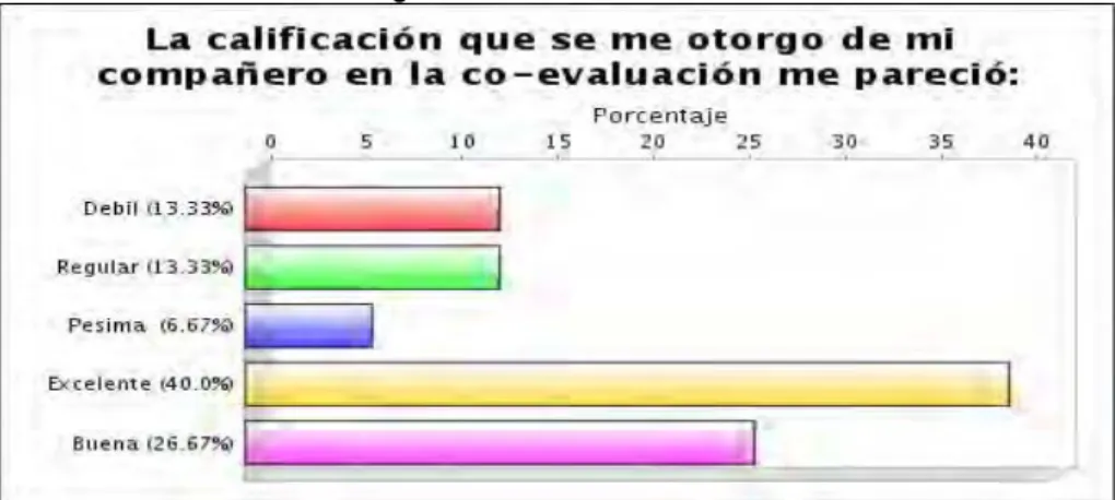 Figura 18. Co- evaluación 