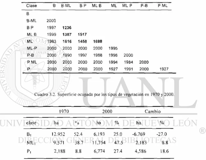 Cuadro 3.2. Superficie ocupada por los tipos de vegetación en 1970 y 2000. 