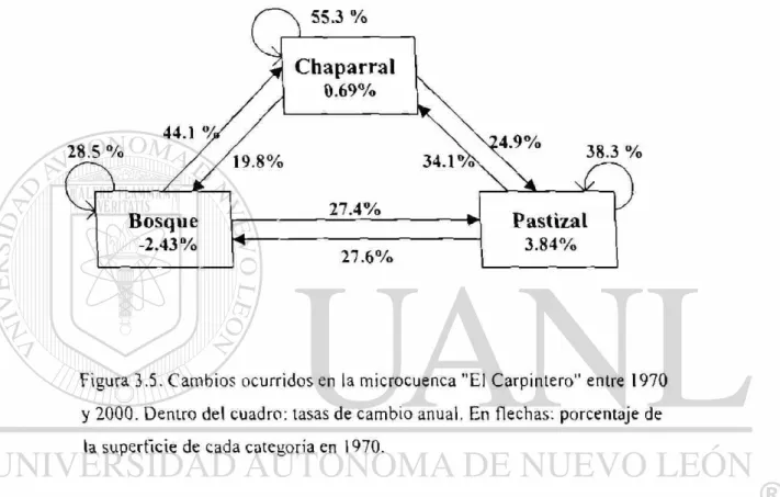 Figura 3.5.  C a m b i o s ocurridos en la microcuenca "El Carpintero" entre 1970  y 2000