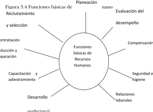 Figura 3.4 Funciones básicas de Recursos Humanos. 