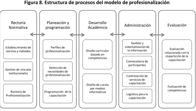 Figura 8. Estructura de procesos del modelo de profesionalización