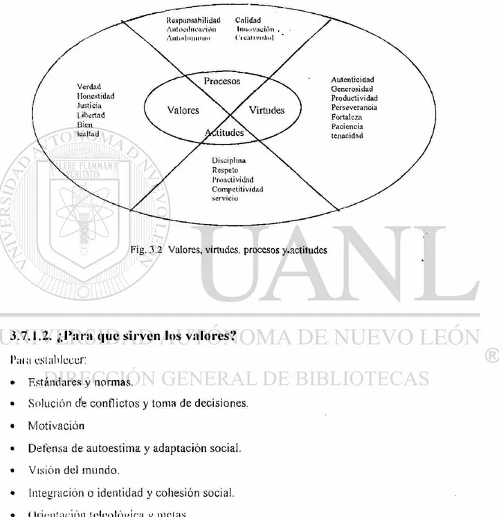 Fig. 3.2  V a l o r e s , virtudes,  p r o c e s o s  y . a c t i t u d e s 