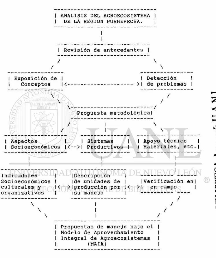 Figura 3. Metodología para el manejo de sistemas 
