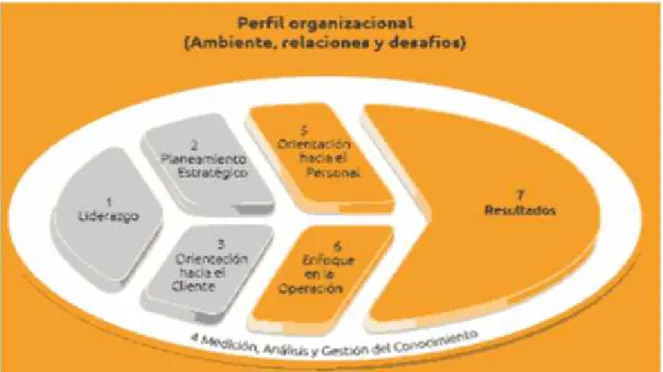 Figura 8 Estructura Modelo de excelencia en gestión de Perú.