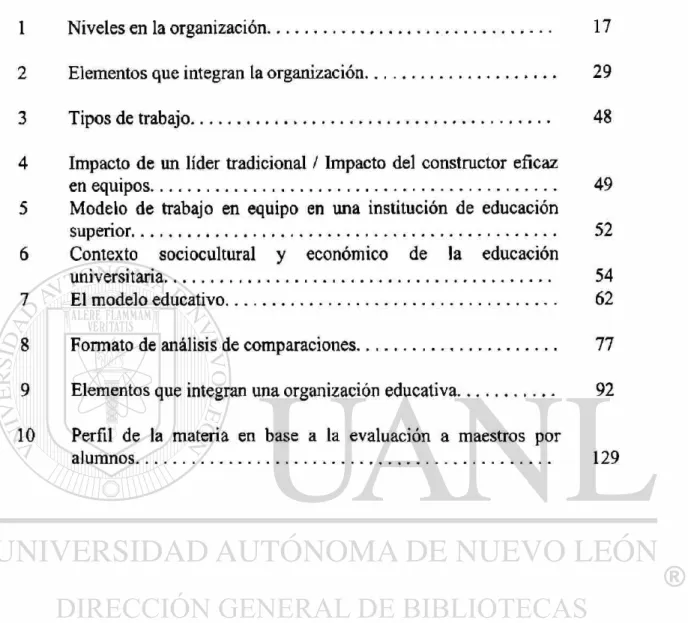 FIGURA PAGINA 
