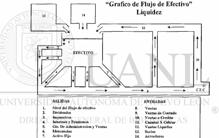 Gráfico de Flujo de Efectivo "Liquidez" 