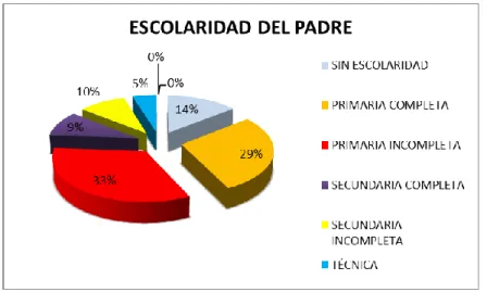 Figura 8. Escolaridad del padre 