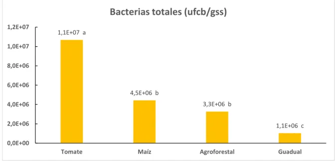 Figura 6. Abundancia de bacterias del suelo en bloques creado de colonia en medida de tierra seca en cuatro  agroecosistemas evaluados, durante el mes de febrero de 2018