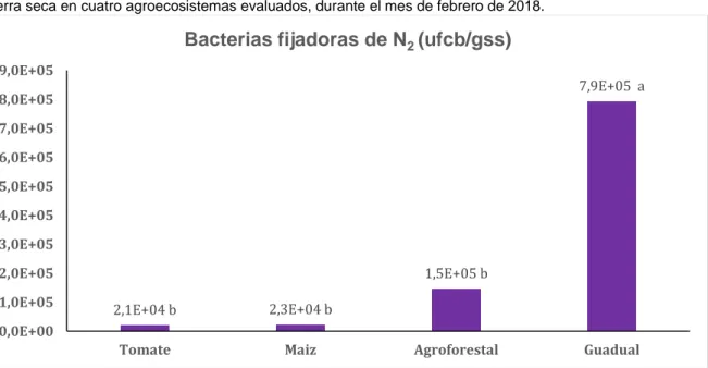 Figura 8. Abundancia de Bacterias fijadoras de N 2  totales del suelo en bloques creado de colonia en medida de  tierra seca en cuatro agroecosistemas evaluados, durante el mes de febrero de 2018