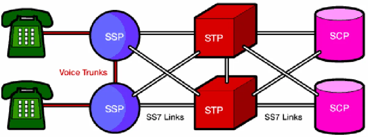 Figura 2-13 SPs, STPs y SCPs. 