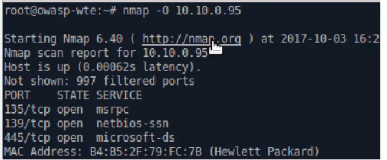 Figura 9. Pantallazo ejecución nmap con el comando O 