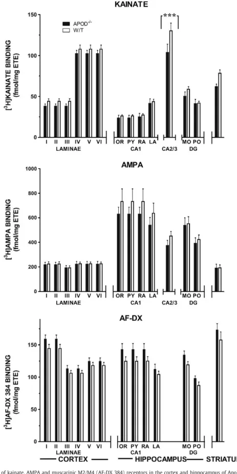 Fig. 2. The density (mean ± SEM) of kainate, AMPA and muscarinic M2/M4 (AF-DX 384) receptors in the cortex and hippocampus of ApoD −/− mice and wild-type littermates