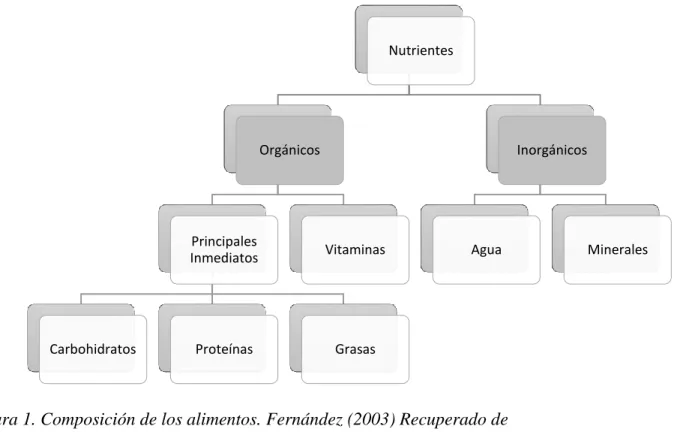 Figura 1. Composición de los alimentos. Fernández (2003) Recuperado de  http://catarina.udlap.mx/u_dl_a/tales/documentos/lda/lopez_g_m/capitulo1.pdf 