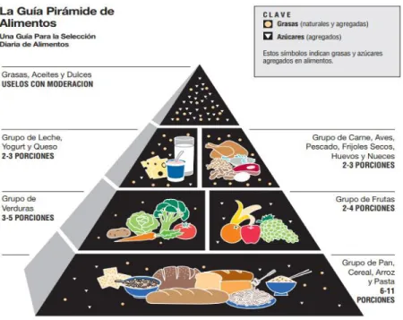 Figura 2. Pirámide de alimentos. USDA. Recuperado de 