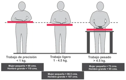 Figura 10. Altura óptima para una superficie de acuerdo al tipo de trabajo. 