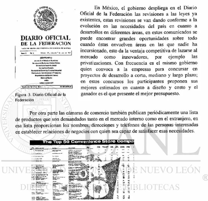Figura 3. Diario Oficial de la  Federación 