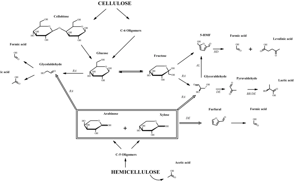 Figure  6. Combined and  simplified reaction pathways  for cellulose and hemicellulose in  biomass  under supercritical  water hydrolysis  conditions  [21, 72-75]