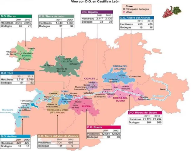 Ilustración 2.1. Las D.O. en Castilla y León por bodegas y hectáreas 