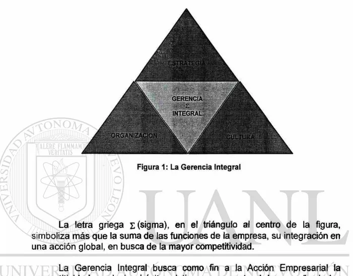 Figura 1 : La Gerencia Integrai 