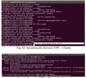 Fig. 63. Configuración Servicio – Puerto 1194 