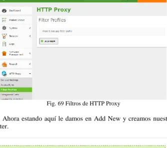 Fig. 68 Prueba de Proxy por puerto 3128 