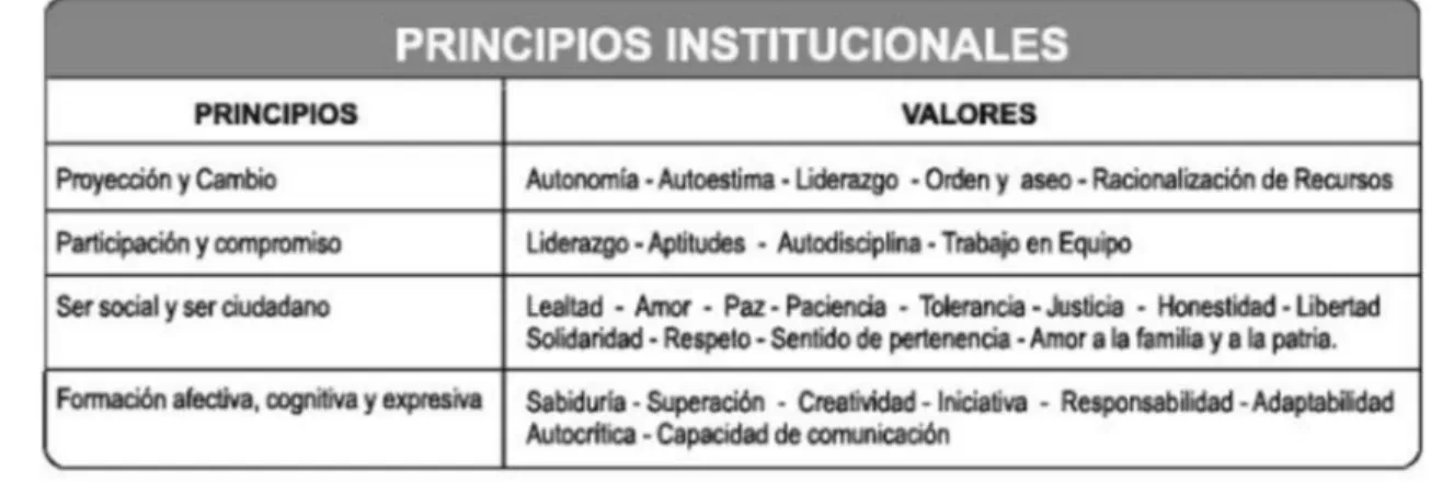 Tabla 1. Principios Institucionales 
