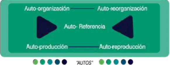 ILUSTRACIÓN 1. Auto referencia. Edgar Morin